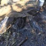 Waldbrand in Bad Gams