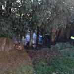 Heckenbrand in Pölfing-Brunn