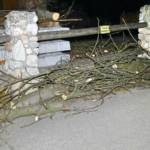 Sturmeinsätze im Bezirk Neunkirchen