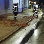 Feuerwehreinsätze im Bezirk Neunkirchen