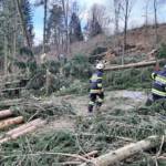 Wieder zahlreiche Sturmeinsätze im Bezirk Deutschlandsberg