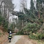 Wieder zahlreiche Sturmeinsätze im Bezirk Deutschlandsberg