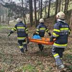 Tierrettung in St. Ulrich im Greith