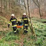 Tierrettung in St. Ulrich im Greith