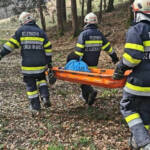 BFV Deutschlandsberg: Tierrettung in St. Ulrich im Greith