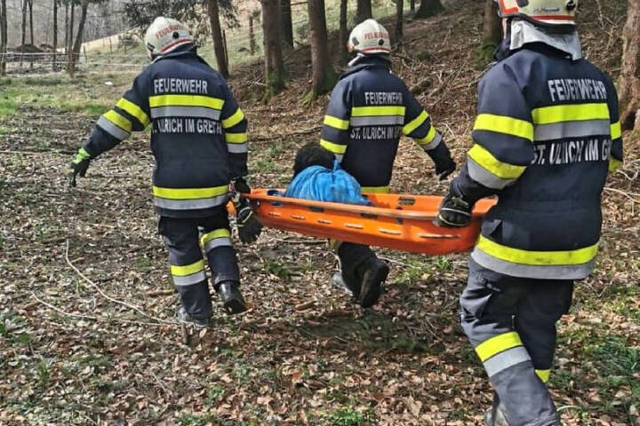 BFV Deutschlandsberg: Tierrettung in St. Ulrich im Greith