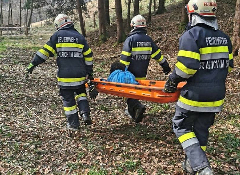 BFV Deutschlandsberg: Tierrettung in St. Ulrich im Greith