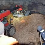 Vier Feuerwehren bei Hackschnitzelbrand in Brunn im Einsatz