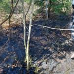 Selchbrand in Bad Gams