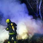 Waldstück in Flammen