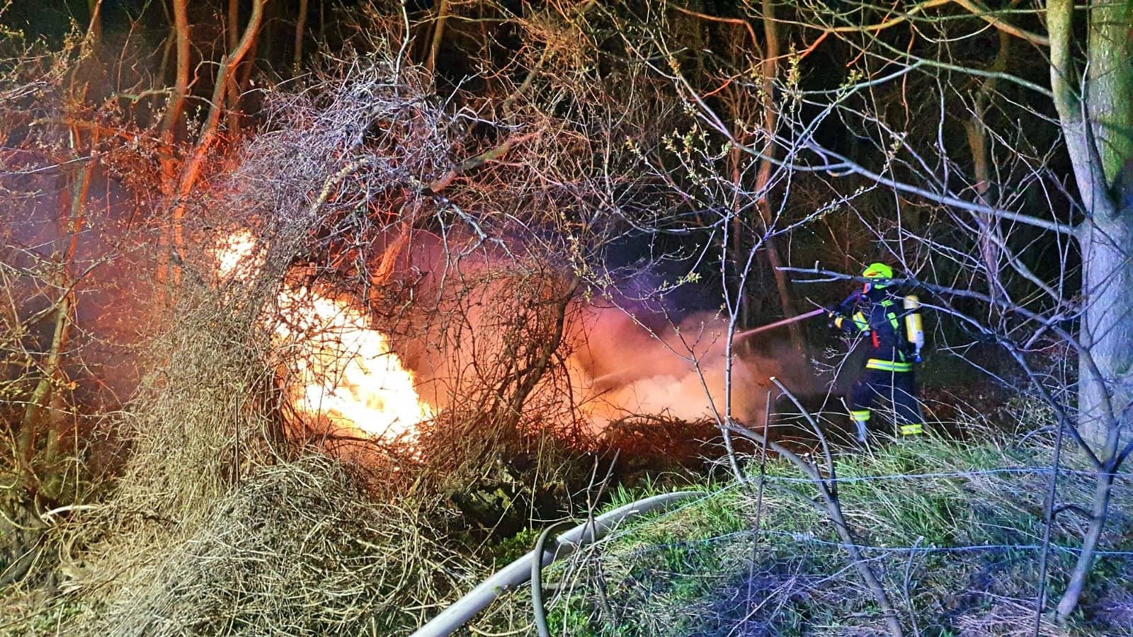 FF Jois: Waldstück in Flammen