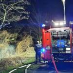 Waldstück in Flammen