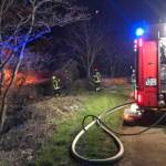 Waldstück in Flammen