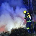 Waldstück in Flammen