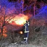 Waldstück in Flammen