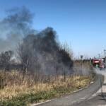 FF Ebenfurth: Flurbrand im Industriegebiet