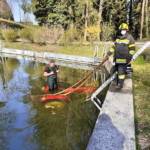 Traktorbergung in Steyeregg