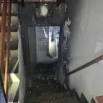 Bewohner bei Brand in Einfamilienhaus gerettet