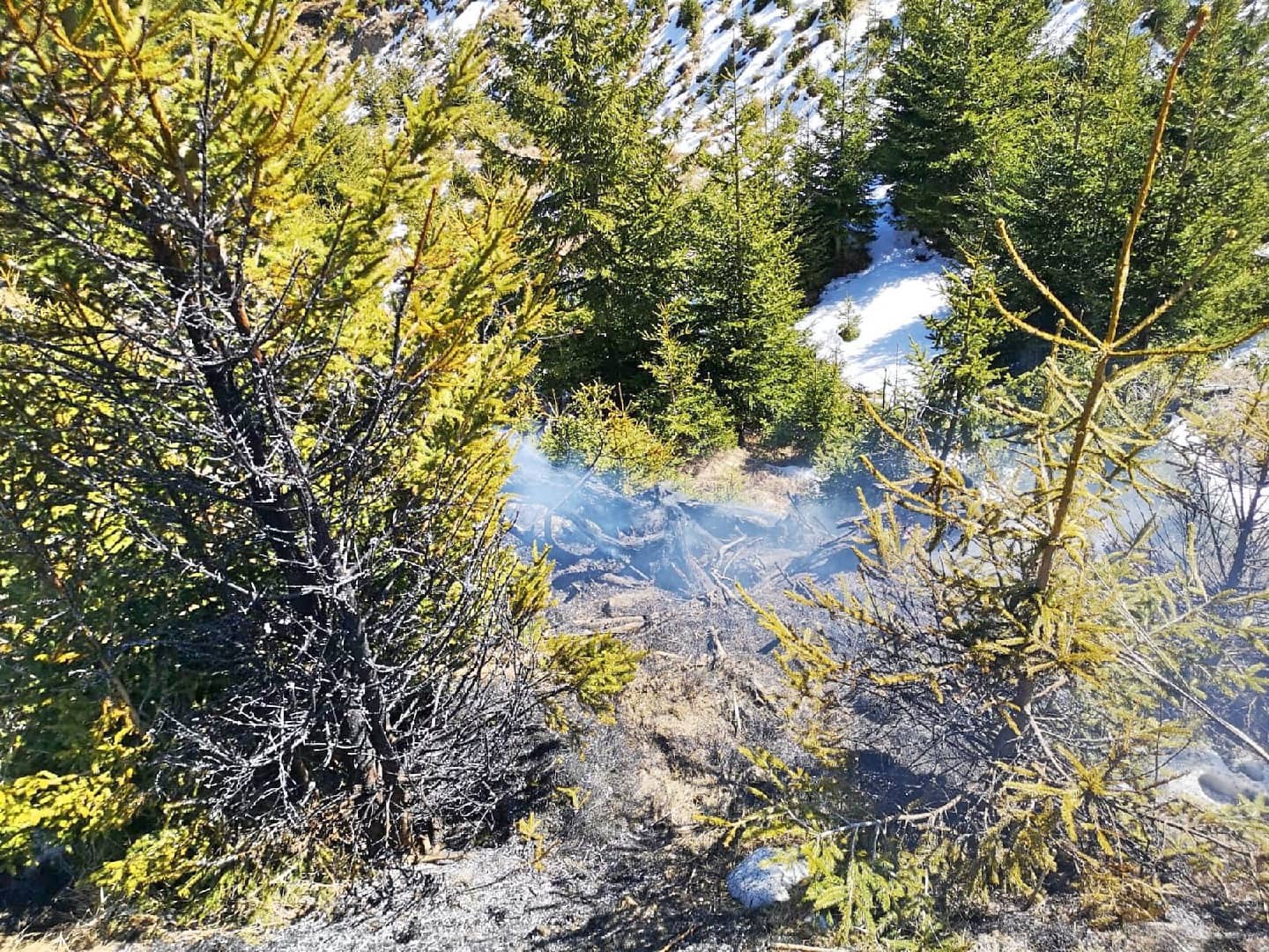 BFV Leoben: Waldbrand in der Hinterlainsach in St. Michael