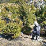 Waldbrand auf der Hochalm - Ausbreitung konnte verhindert werden
