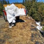 Waldbrand auf der Hochalm - Ausbreitung konnte verhindert werden