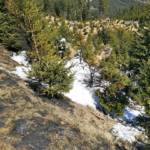 Waldbrand auf der Hochalm - Ausbreitung konnte verhindert werden