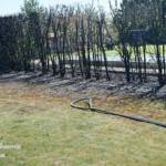 Brand einer Hecke und der angrenzenden Garage