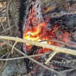 Waldbrand in der Hinterlainsach fordert den Einsatz von 11 Feuerwehren und zwei Hubschraubern
