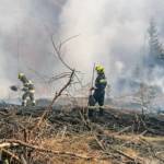 Waldbrand in der Hinterlainsach fordert den Einsatz von 11 Feuerwehren und zwei Hubschraubern