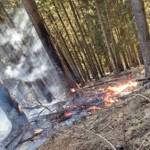 Waldbrand in der Hinterlainsach fordert den Einsatz von 11 Feuerwehren und zwei Hubschraubern