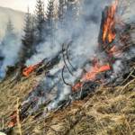 Waldbrand in der Hinterlainsach fordert den Einsatz von 11 Feuerwehren und zwei Hubschraubern
