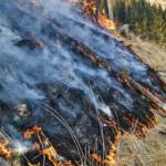 Waldbrand in der Hinterlainsach fordert den Einsatz von 11 Feuerwehren und zwei Hubschraubern