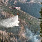 Waldbrand in der Hinterlainsach fordert den Einsatz von 11 Feuerwehren und zwei Hubschraubern