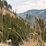 Waldbrand in der Hinterlainsach fordert den Einsatz von 11 Feuerwehren und zwei Hubschraubern