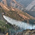 Waldbrand in der Hinterlainsach fordert den Einsatz von 11 Feuerwehren und zwei Hubschraubern