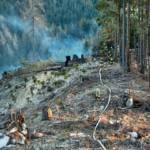 Waldbrand in der Hinterlainsach fordert den Einsatz von 11 Feuerwehren und zwei Hubschraubern