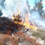 Einsatzreicher Nachmittag für die Feuerwehren
