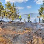 Einsatzreicher Nachmittag für die Feuerwehren
