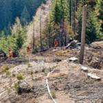 Erneute Löscharbeiten mit zwei Hubschrauber beim Waldbrand in der Hinterlainsach