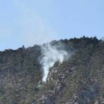 Waldbrand in Ternitz- Flatz