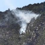 Waldbrand in Ternitz- Flatz