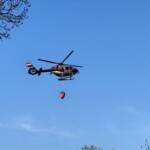 Bezirk Neunkirchen: Waldbrand in Ternitz- Flatz