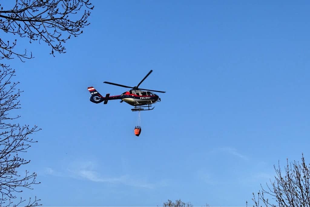 Bezirk Neunkirchen: Waldbrand in Ternitz- Flatz