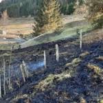 Zwei Flächenbrände am Ostermontag