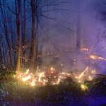 FF Klosterneuburg: Waldbrand Exelberg – Grenze Wien