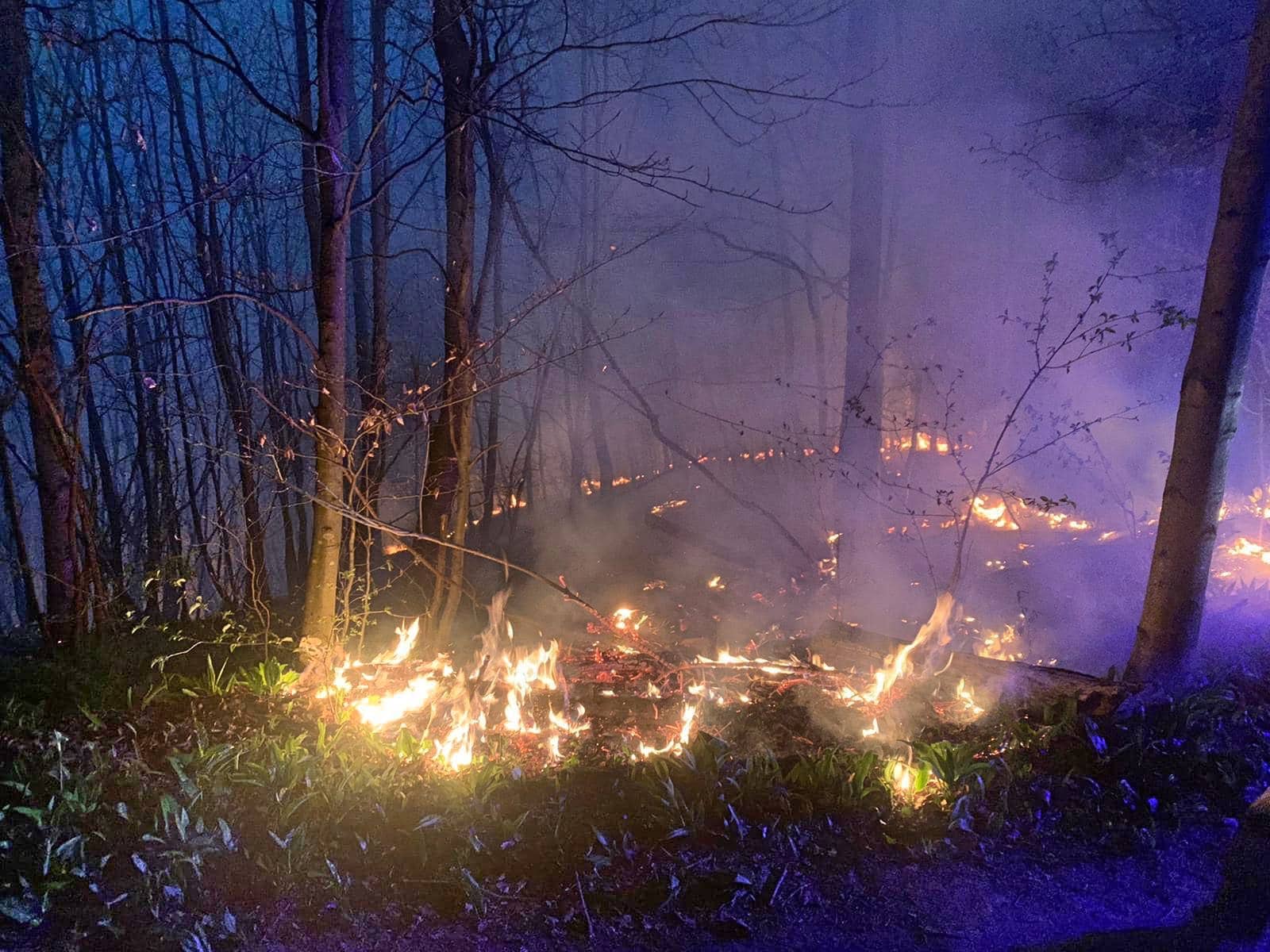 FF Klosterneuburg: Waldbrand Exelberg – Grenze Wien