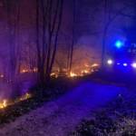 Waldbrand Exelberg - Grenze Wien