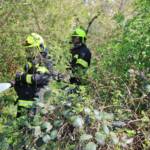 Heckenbrand in Rudersdorf