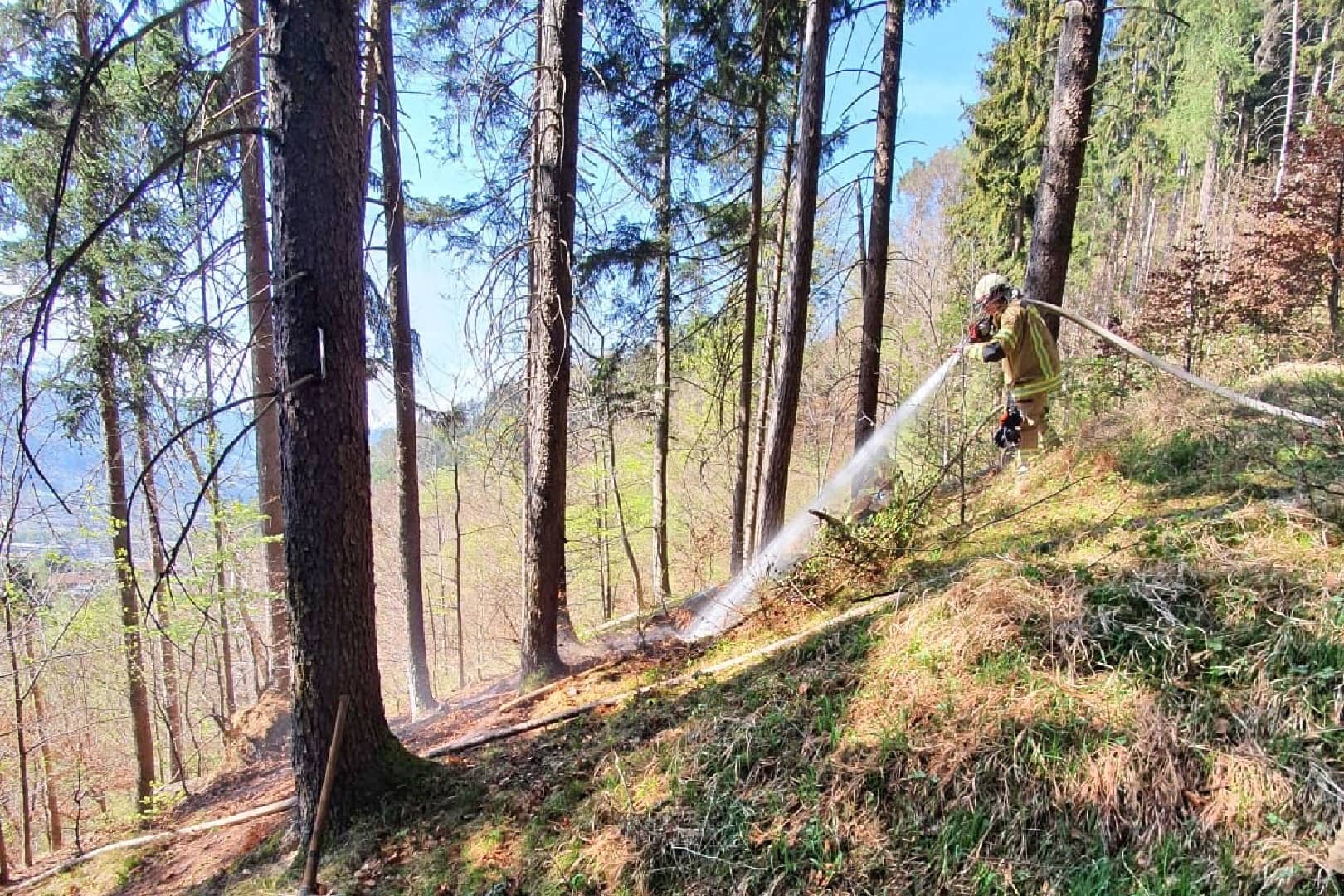 FF Stans: Entstehender Waldbrand rechtzeitig entdeckt