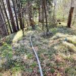 Entstehender Waldbrand rechtzeitig entdeckt